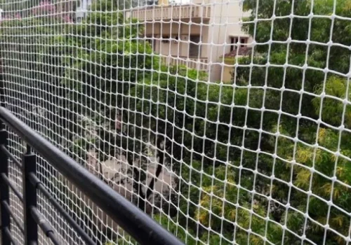Pigeon-nets-for-balcony2
