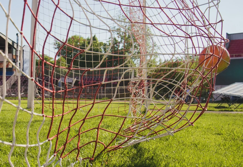 sports Nets (2)